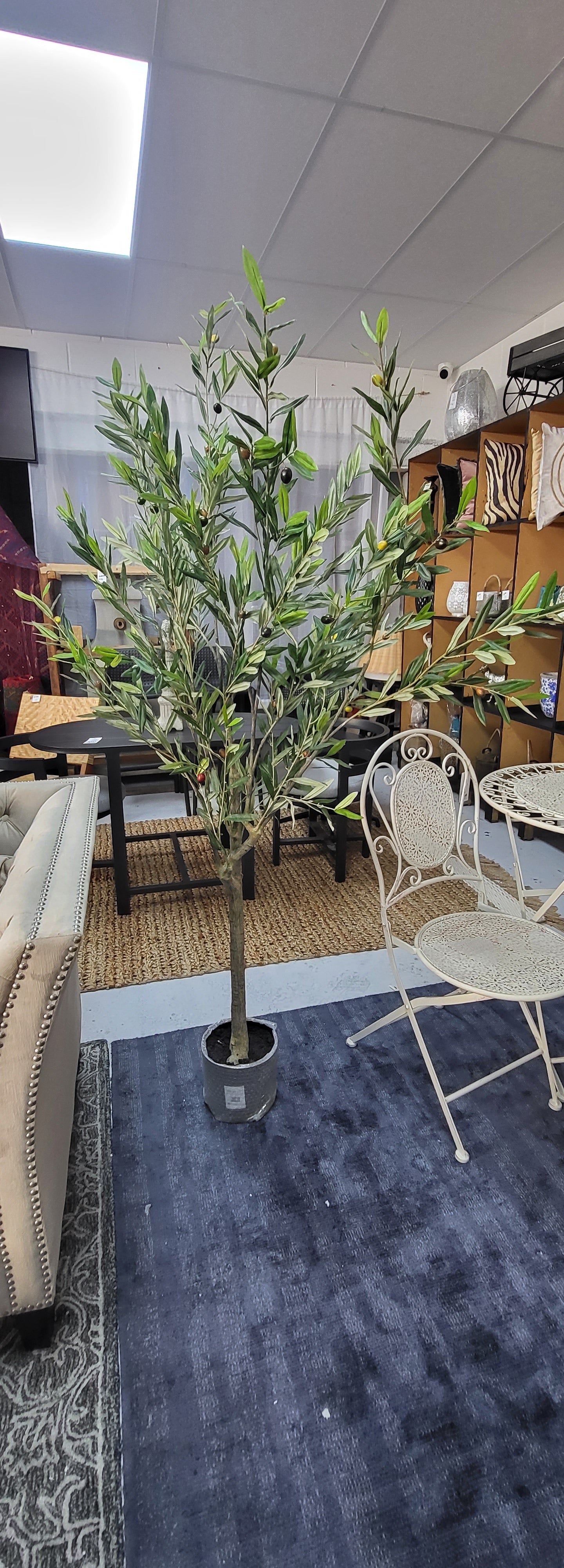 Olive Faux Tree Potted 180cm