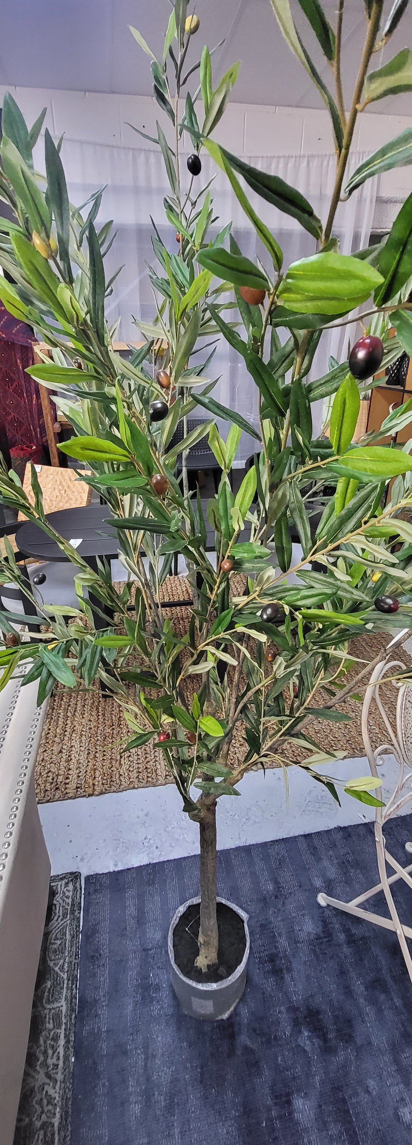 Olive Faux Tree Potted 180cm