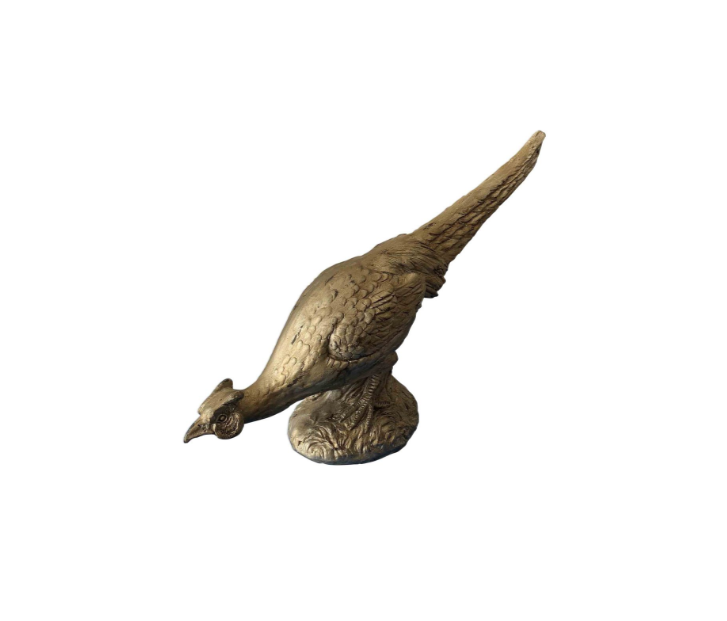Head Down Phesant Bird
