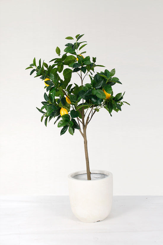 Fibre Clay Pot Cream - Set of 3