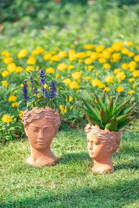 Terracotta Visage Head Planter