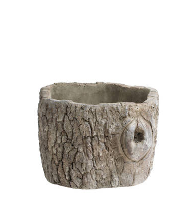 Tree Stump Cement Planter