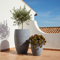 Capri Rustic Cement Planter Set/2 - Grey