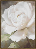 Gardenia Wall Art