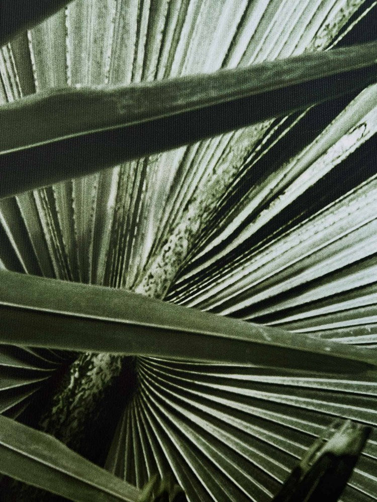 Green Palms Wall Art close up