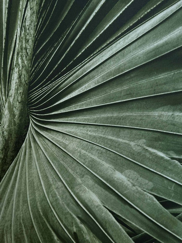 Green Palms Wall Art detail