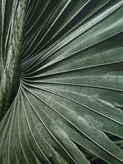 Green Palms Wall Art detail