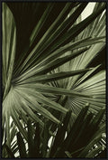 Green Palms Wall Art