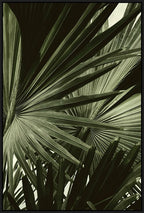 Green Palms Wall Art
