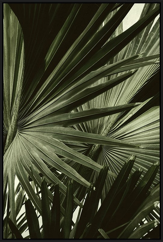 Green Palms Wall Art