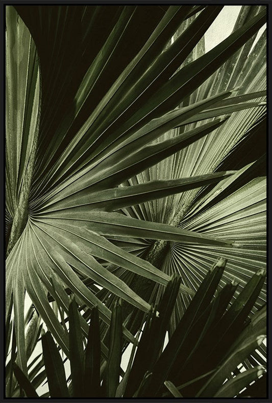 Green Palms Wall Art