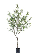 Olive Faux Tree Potted 210cm