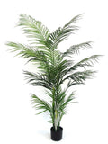 Potted Areca Palm 1.2m