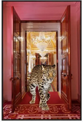 Upper Class Leopard Canvas W/ Black Frame