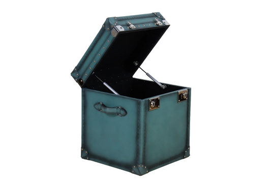 Leather Trunk