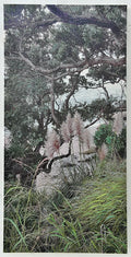 Toi Toi Beauty II Wall Art