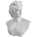 Julian Bust Statue - Large