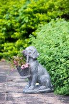 Dog Planter