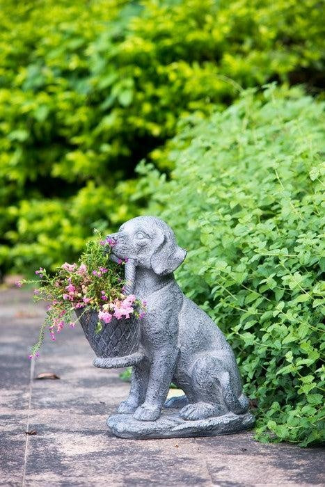 Dog Planter