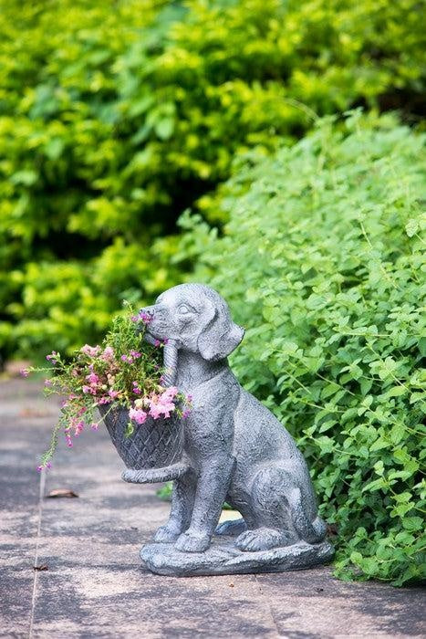 Dog Planter