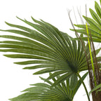 Artificial Plant - Fern
