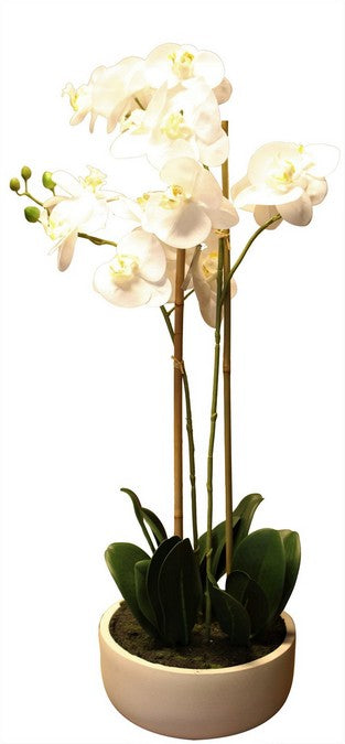 Real Touch Orchid 2 Spray - White With Caesarstone Pot