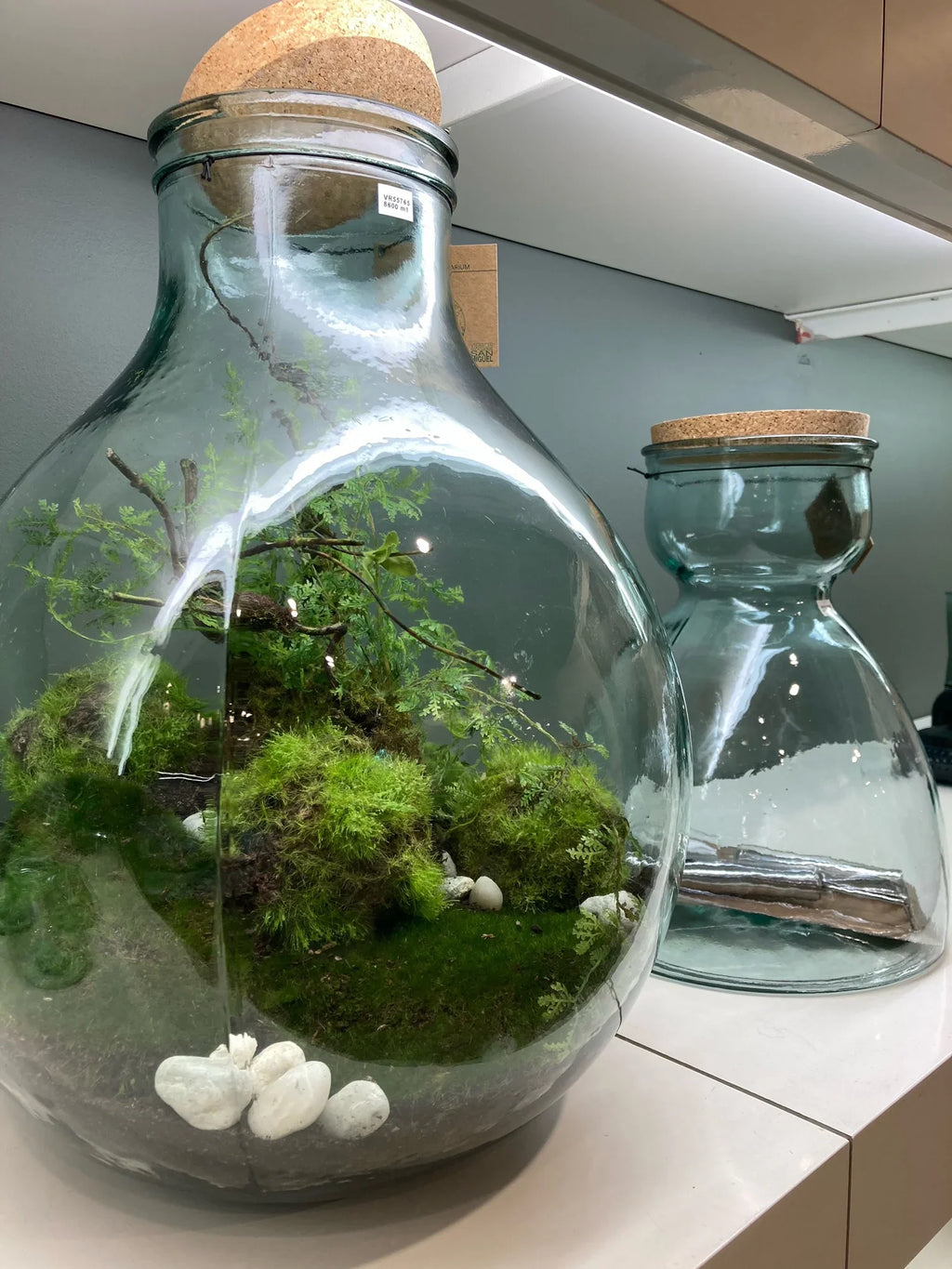 Fiore Bottle Vase – Clear