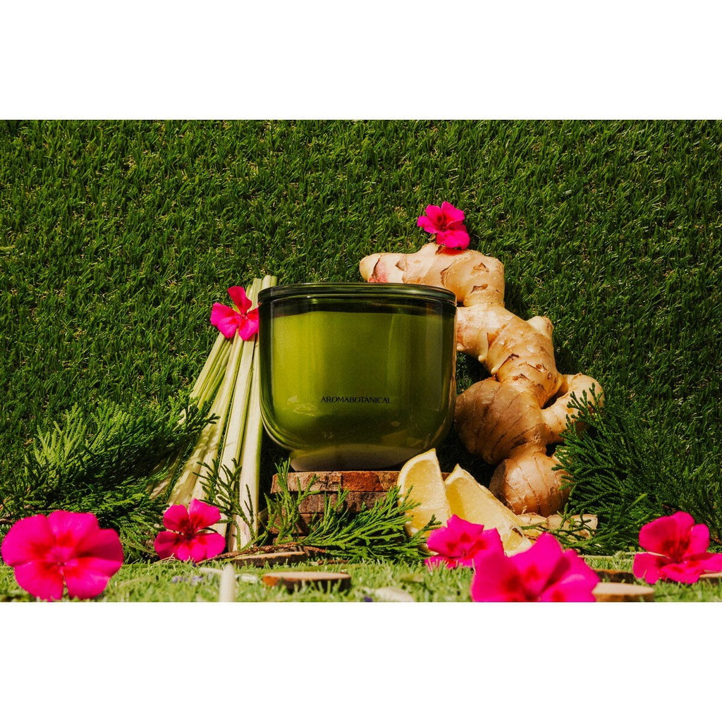 AB Core Candle 400g | Koh Samui - Thai Lemongrass & Ginger
