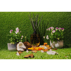 AB Core Diffuser 400ml | Reunion Isle - French Vanilla & Musk