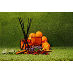 AB Core Diffuser 400ml | Sunday Mimosa - Valencia Orange & Champagne
