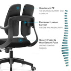Argo Split Ergonomic Office Chair