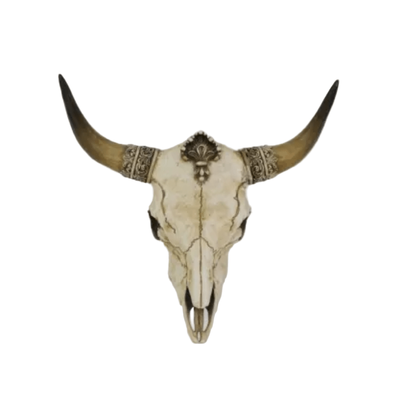Faux Bone OX Skull Wall Hanging