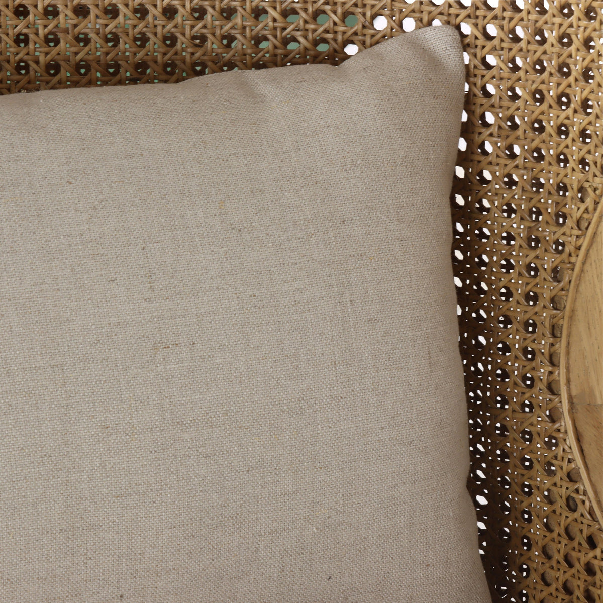 Randolph Wingback Rattan Occasional Chair