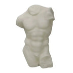 Greco Roman Nude Torso Sculpture - White