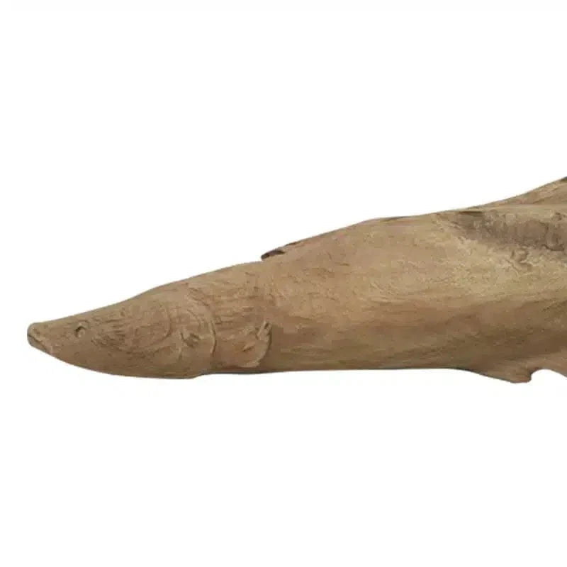 Resin Fish Coromandel