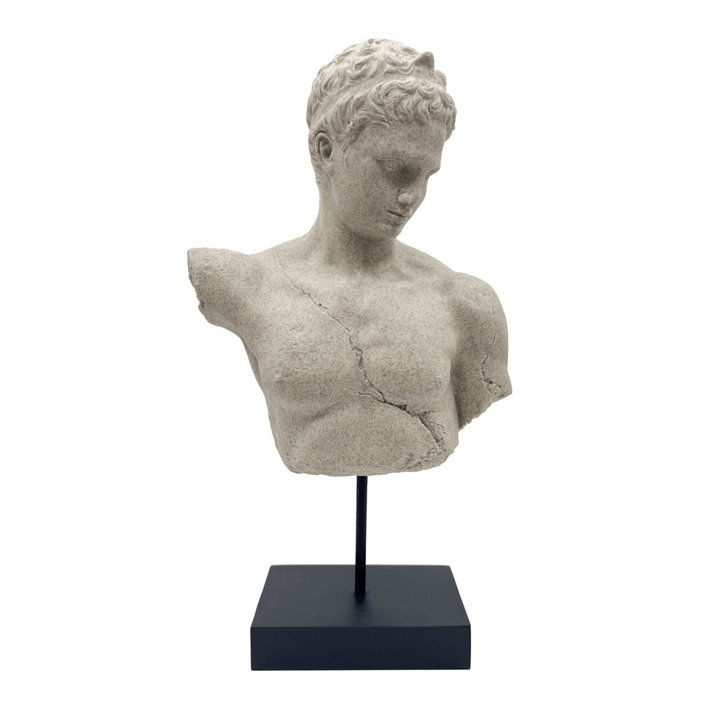 Roman Bust - Statue