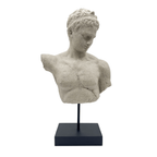 Roman Bust - Statue