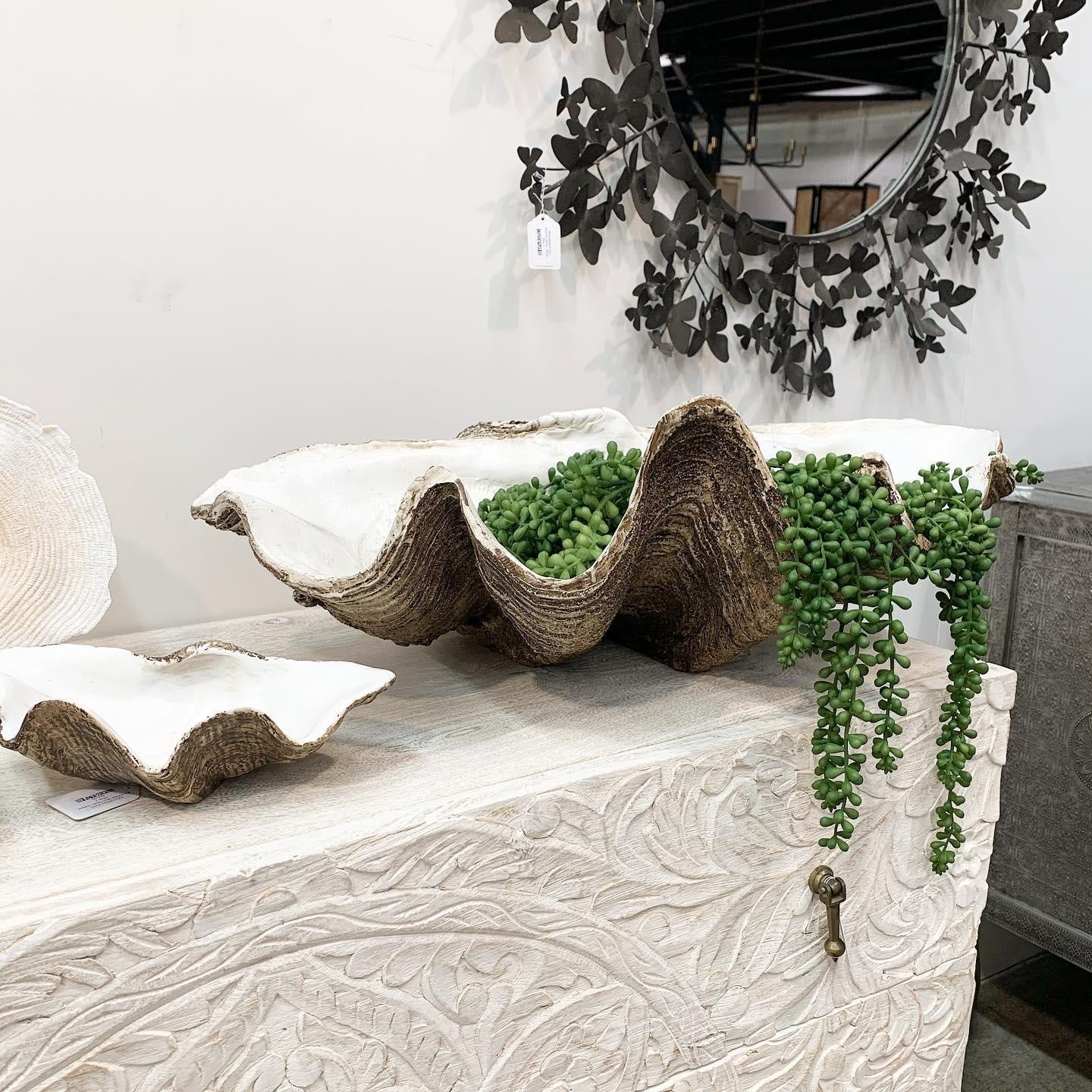 Resin Clam Shell X Large