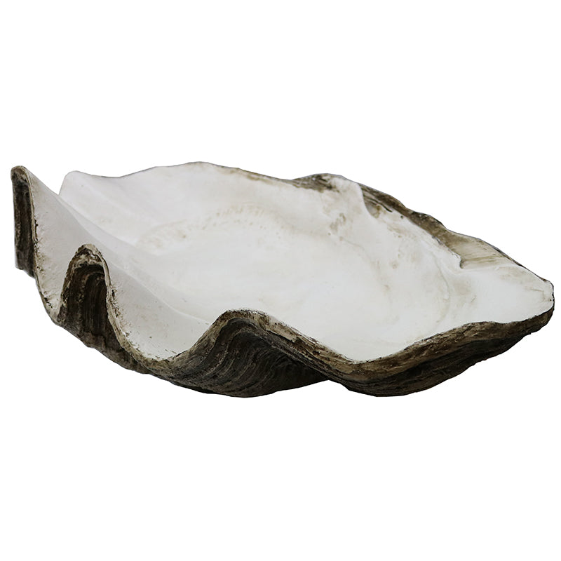 Resin Clam Shell X Large