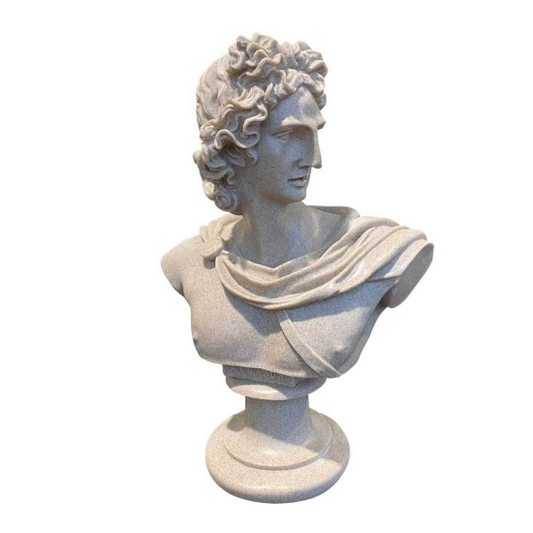 Greek David Venus Statue