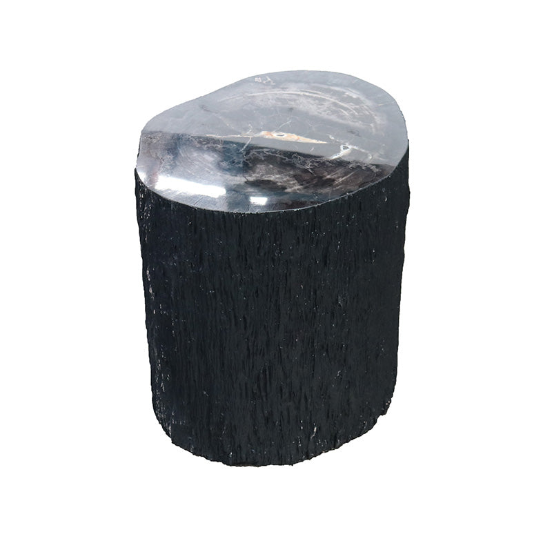 Petrified Wood Stump Stool