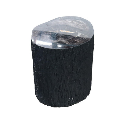 Petrified Wood Stump Stool