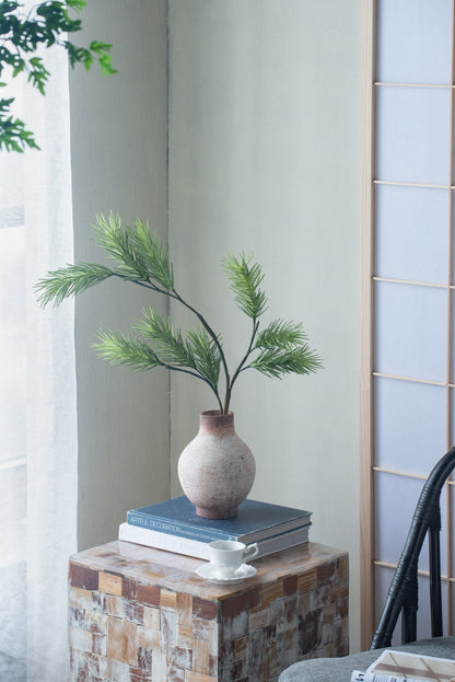 Terracotta Planter