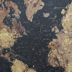Framed World Map