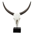 Resin Cow Skull